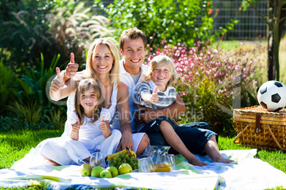 Happy family having a picnic with thumbs up