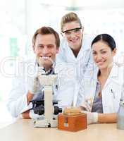 Young scientists working with a microscope