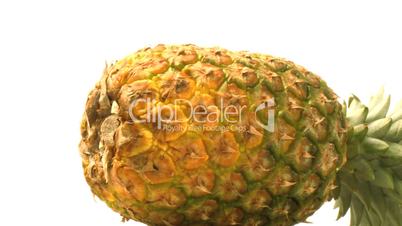 Ananas