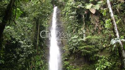 Waterfall in tropical rainforest, Ecuador