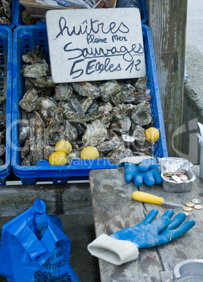 Austern-Marktstand in Cancale