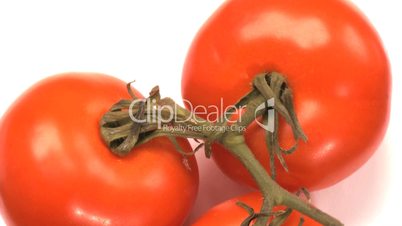 Strauchtomaten