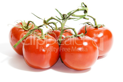 Tomaten