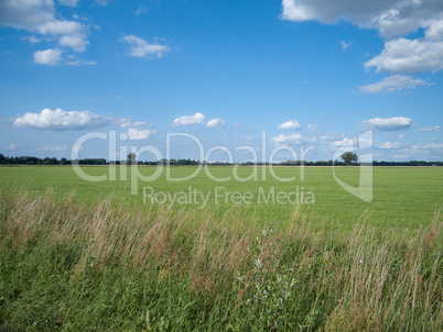 Feld Himmel Wiese