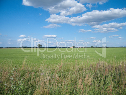 Feld Himmel Wiese