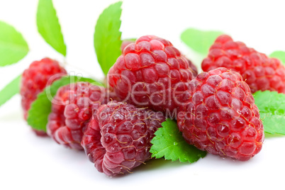 frische himbeeren