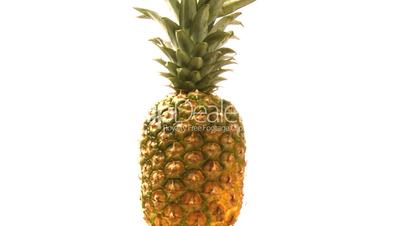 Ananas