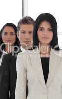 Beautiful young businesspeople in a row