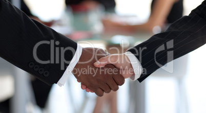 Business Handshake