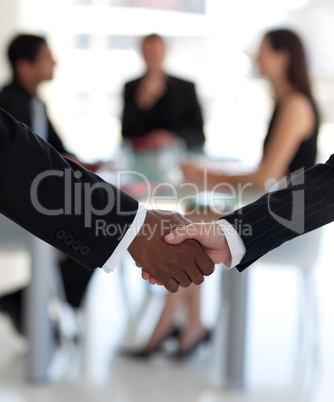 Business Handshake