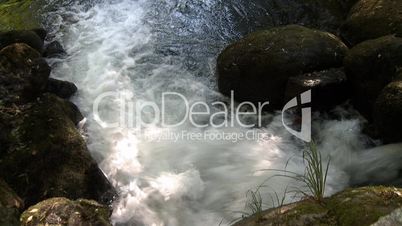 small waterfall in forest