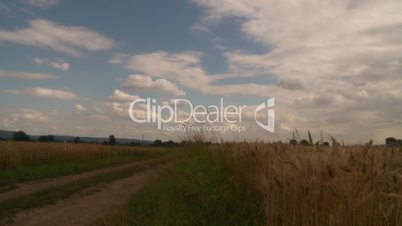 Wolken ziehen über ein Weizenfeld