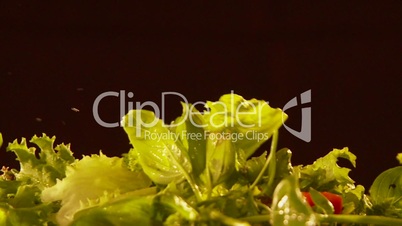 fallender Salat, Gartenkräuter und Tomaten, Zeitrlupe