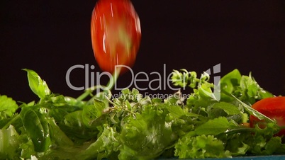 fallender Salat, Gartenkräuter und Tomaten, Zeitlupe
