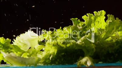 herabfallender Salat,  Zeitlupe und Kamerafahrt