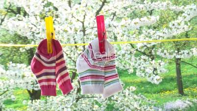 Wäsche im Frühling