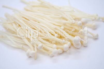 enoki Pilze