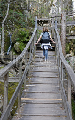 Holzbrücke