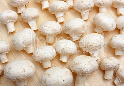 Champignons