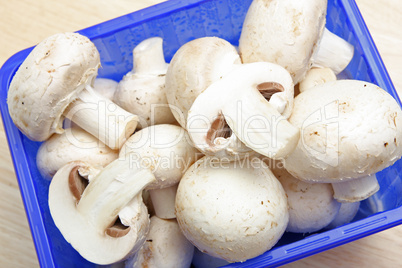 Champignons