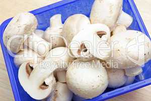 Champignons