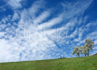 Sommerlandschaft Sommerlandschaft