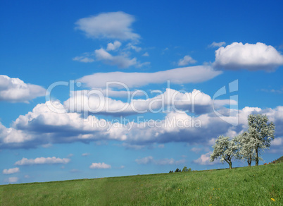 Sommerlandschaft