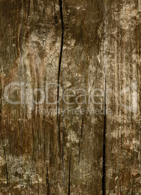 Holz - Hintergrund