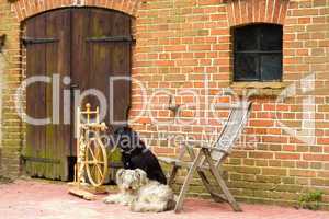 Spinnrad mit zwei Hunden, spinning wheel with two dogs