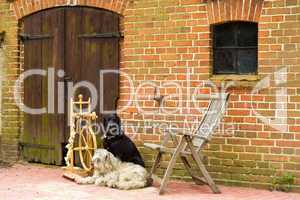 Spinnrad mit zwei Hunden, spinning wheel with two dogs