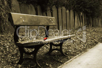 Sepia shot of bench with a single red rose and a row of gravestones behind