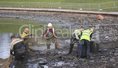 Workmen clearing the lake of fish