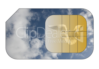 Cell phone sim card