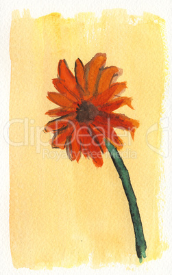 Wasserfarben Gerbera