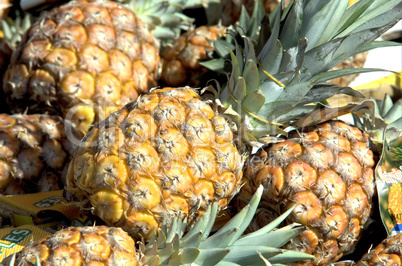 Ananas