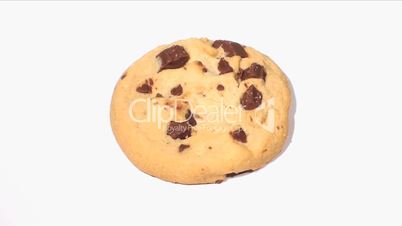 Eating chocolate chip cookie