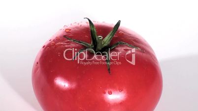 tomato zoom