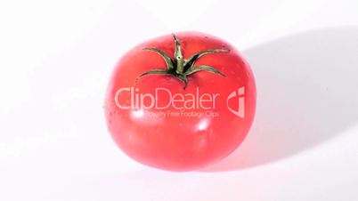 tomato high angle