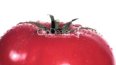 Tomato close-up
