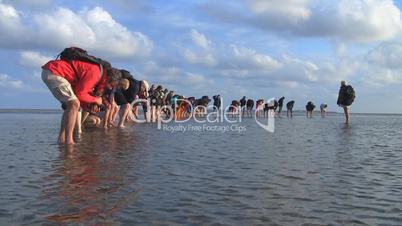 Wandern am Wattenmeer