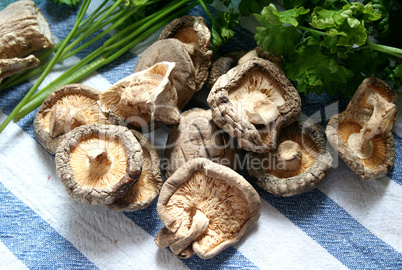 shiitake