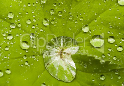 Nach dem Regen