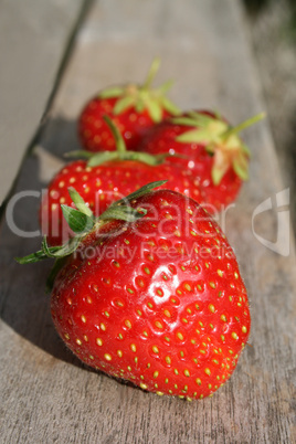 Erdbeeren