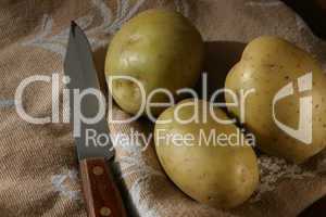 Kartoffeln auf Tuch