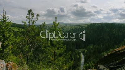 timelapse forest top view