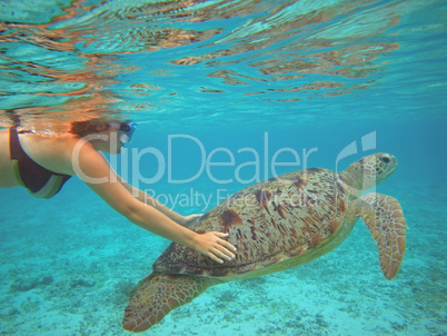 Taucherin und Wasserschildkröte