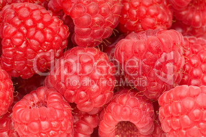 Red raspberries.