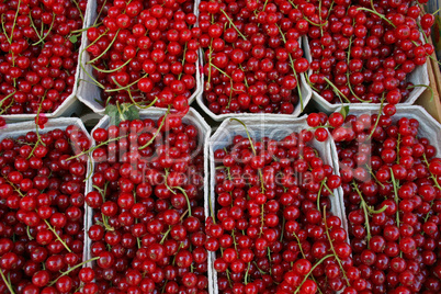 Johannisbeeren