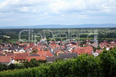 Blick auf Dienheim