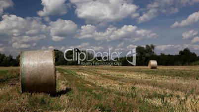 Strohballen auf geerntetem Acker